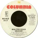 7inch Vinyl Single - Walter Egan - Unloved