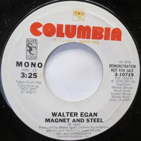 Walter Egan - Magnet And Steel