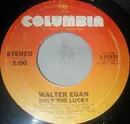7inch Vinyl Single - Walter Egan - Only The Lucky - Santa Maria Pressing