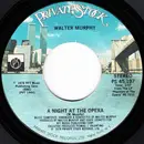 7inch Vinyl Single - Walter Murphy - The Music Will Not End