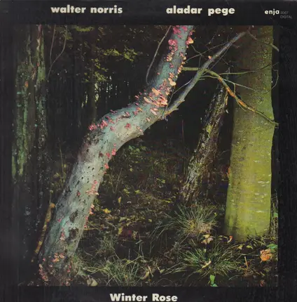 Walter Norris , Aladár Pege - Winter Rose