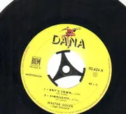 7inch Vinyl Single - Walter Solek and his Orchestra - Hot Pancake, Dreamboat/Boy's Town, Simplicitiy