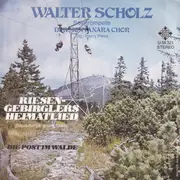 7inch Vinyl Single - Walter Scholz - Die Post Im Walde