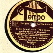 Walter Raatzke m.s. Orchester - Eine Insel aus Träumen geboren ist Hawai / Komm' zurück