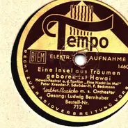 Walter raatzke m.s. Orchester - Eine Insel aus Träumen geboren ist Hawai / Komm' zurück