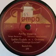 Walter Raatzke Mit Seinem Orchester - Addio Venezia / Straßensänger Von Neapel