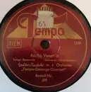 Schellack - Walter Raatzke Mit Seinem Orchester - Addio Venezia / Straßensänger Von Neapel