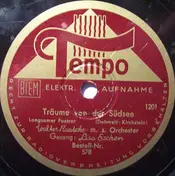 Walter Raatzke Mit Seinem Orchester - Träume Von Der Südsee / Der Wind Hat Mir Ein Lied Erzählt