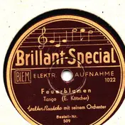 Walter Raatzke Mit Seinem Orchester - Feuerblumen / Schwarze Orchideen