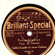 Walter Raatzke Mit Seinem Orchester - Feuerblumen / Schwarze Orchideen