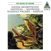 Walter Tilgner - Luscinia Megarhynchos • Nachtigall • Nightingale • Rossignol Philomèle • Ruiseñor