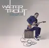 Double LP - Walter Trout - Blues For The Modern Daze