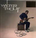 Double LP - Walter Trout - Blues For the Modern Daze - Purple Vinyl, Numbered Limited Edition, Booklet