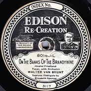 Walter Van Brunt - I'll Take You Home Again, Kathleen / On The Banks Of The Brandywine