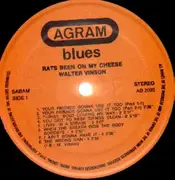 LP - Walter Vinson - Rats Been On My Cheese - RARE BLUES