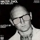 7inch Vinyl Single - Walter Zwol - New York City - No Cover