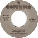 7'' - Walter Egan - Magnet And Steel / Only The Lucky