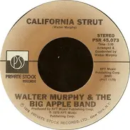 Walter Murphy & The Big Apple Band - A 5th Of Beethoven