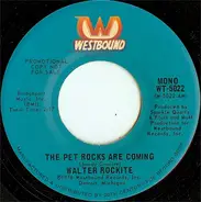 Walter Rockite - The Pet Rocks Are Coming