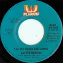 7'' - Walter Rockite - The Pet Rocks Are Coming