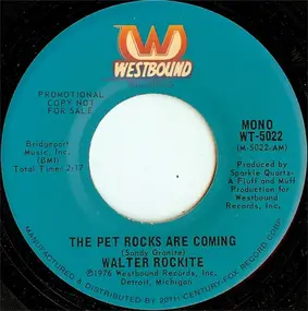 Walter Rockite - The Pet Rocks Are Coming