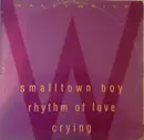 12inch Vinyl Single - Walty Waits - Smalltown Boy