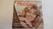 7inch Vinyl Single - Waldirene - Ama-me Uma Vez Mais / Quero Ser Livre