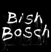 CD - SCOTT WALKER - Bish Bosch - 36 Seiten Booklet
