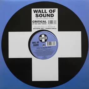 Wall Of Sound Featuring Gerald Lethan - Critical (If You Only Knew)