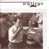 7inch Vinyl Single - Walleye - Stale Air