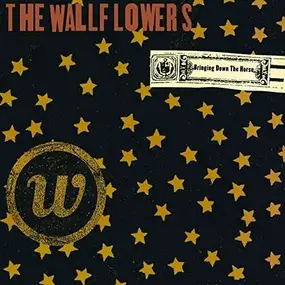 The Wallflowers - Bringing Down The House