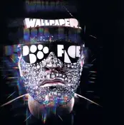 Wallpaper - Doodoo Face
