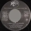 7inch Vinyl Single - Wally Fowler - A New Star In Heaven / A Wonderful Time Up There