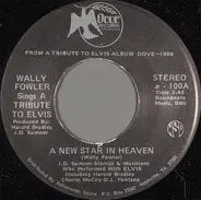 Wally Fowler - A New Star In Heaven / A Wonderful Time Up There