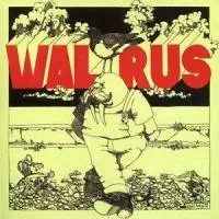 The Walrus - WALRUS