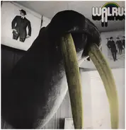Walrus - WALRUS