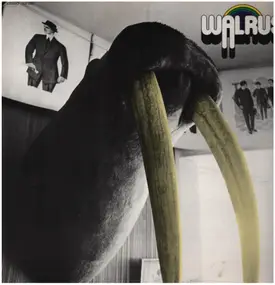 The Walrus - WALRUS