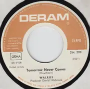 7inch Vinyl Single - Walrus - Who Can I Trust