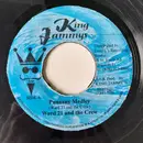 7inch Vinyl Single - Ward 21 - Punaany Medley