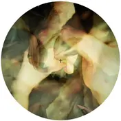Wareika - Burnin, B.moeller, Lopazz&a.flatner Rmxs