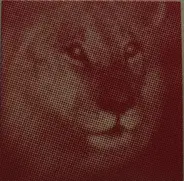 Wareika Hill Sounds - Kumina Mento Rasta