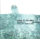 CD - Warm In The Wake - American Prehistoric