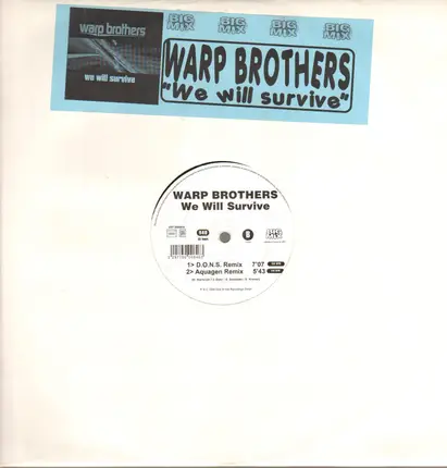 Warp Brothers - We Will Survive