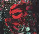 CD - Warpaint - The Fool - Digipak