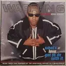12'' - Warren G Featuring Adina Howard - What's Love Got To Do With It ?