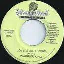 7inch Vinyl Single - Warrior King - Love Is All I Know
