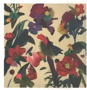 Washed Out - Paracosm