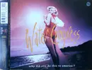 CD Single - Water Congress - Why Did You Do This To America?