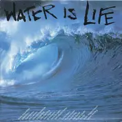 Water Is Life Band