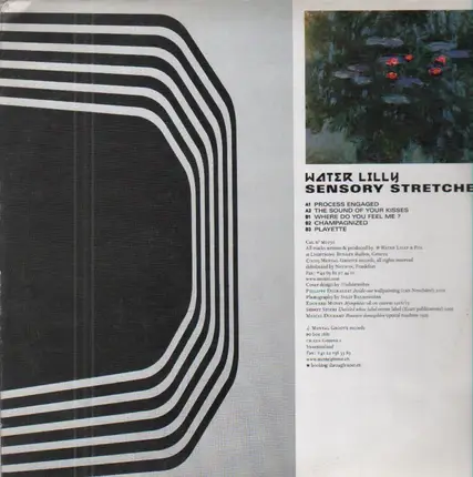 Water Lilly - Sensory Stretcher